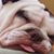 Heather Jenine Nichols's profile image