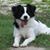 Kelly McGinnis LaBella's profile image