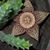 Mary Bucio's profile image