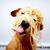 Laury Lybrand's profile image