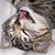 Mark Katz's profile image