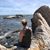 Mickaela Wessel's profile image