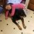 Doris Laffety's profile image