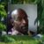 Hernandaz Finch's profile image