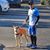Leonel Alvarado's profile image