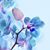 Barbara James's profile image