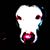 Kurt Andrew Cole's profile image