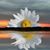 Lin Jurgena's profile image
