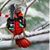 Donna Finizio Melson's profile image
