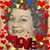 Mimi La Cubana Betancourt's profile image