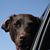 Jana Freeman's profile image