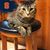 Thomas J. Landry's profile image
