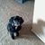 Audrey Jackson Batiste's profile image