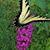 Kathy Peacher's profile image
