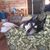 Martha Bowen Bradley's profile image