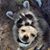 Alisha Merrill's profile image