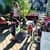 Lois Sommer Carroll's profile image