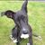 Helen Summerfield-Brown's profile image