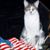 Matt Peare's profile image