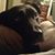 Holly Holstein's profile image