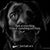 Tammy Reyn's profile image