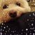Lisl Kathryn's profile image