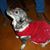 Valerie Ann Gilbert's profile image