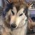 Anna Gabel's profile image