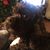 Mary Carroll Meyer's profile image
