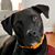 Leslie Ann Beauregard's profile image