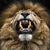 Doc Lion's profile image