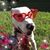 Heather Henderson's profile image