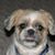 Christine Graham Mickels's profile image