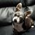 Robin Balintfy-Alloy's profile image