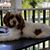 Charlene Marks Reeder's profile image