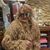 Beverly Fisher Marshall's profile image