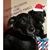 Debbie Schwartz's profile image
