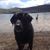 Shannon Solomon's profile image