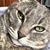 Charleston Long's profile image