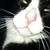 Keith Watson's profile image