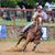 Flavio Ribeiro's profile image