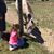 Sherri Stone's profile image