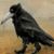 Gail Pratt Terry's profile image