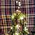 Sheila Reed's profile image