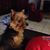 Becki Barras Pellerin's profile image