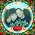 Richard Donna Offner's profile image