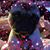 Zerlina Trevino's profile image