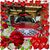 Kathy A. McGill's profile image