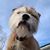Christine Dudczak Barlow's profile image