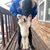Kaitlynn Coy's profile image